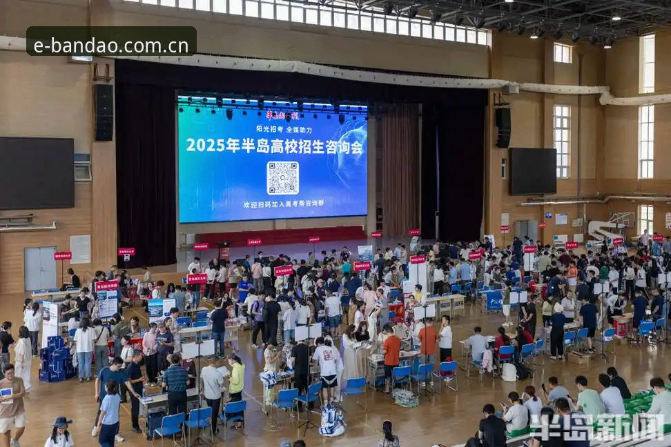 半岛体育平台2025版APP登录与安卓下载通道：一项侧重稳定性的深度评测
